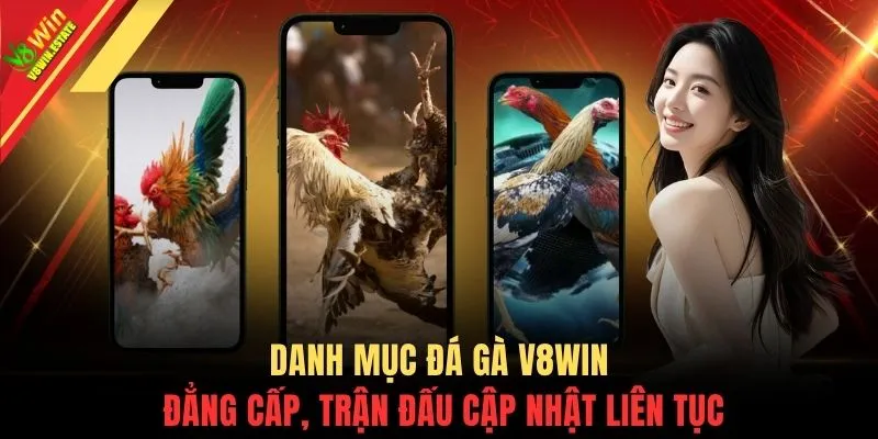 Danh mục đá gà V8WIN đẳng cấp, trận đấu cập nhật liên tục