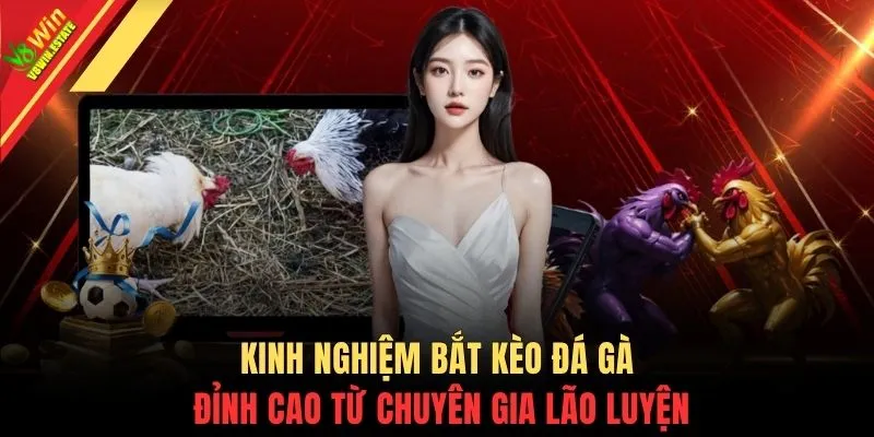 Kinh nghiệm bắt kèo đá gà đỉnh cao từ chuyên gia lão luyện