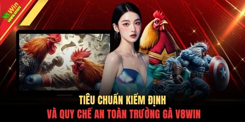 Tiêu chuẩn kiểm định và quy chế an toàn trường gà V8WIN