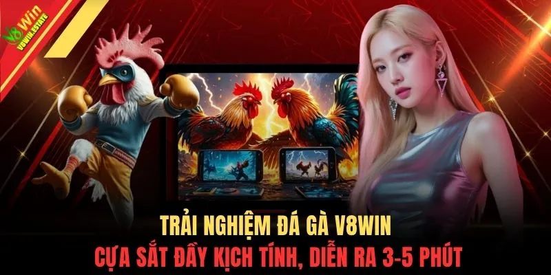 Trải nghiệm đá gà V8WIN cựa sắt đầy kịch tính, diễn ra 3-5 phút